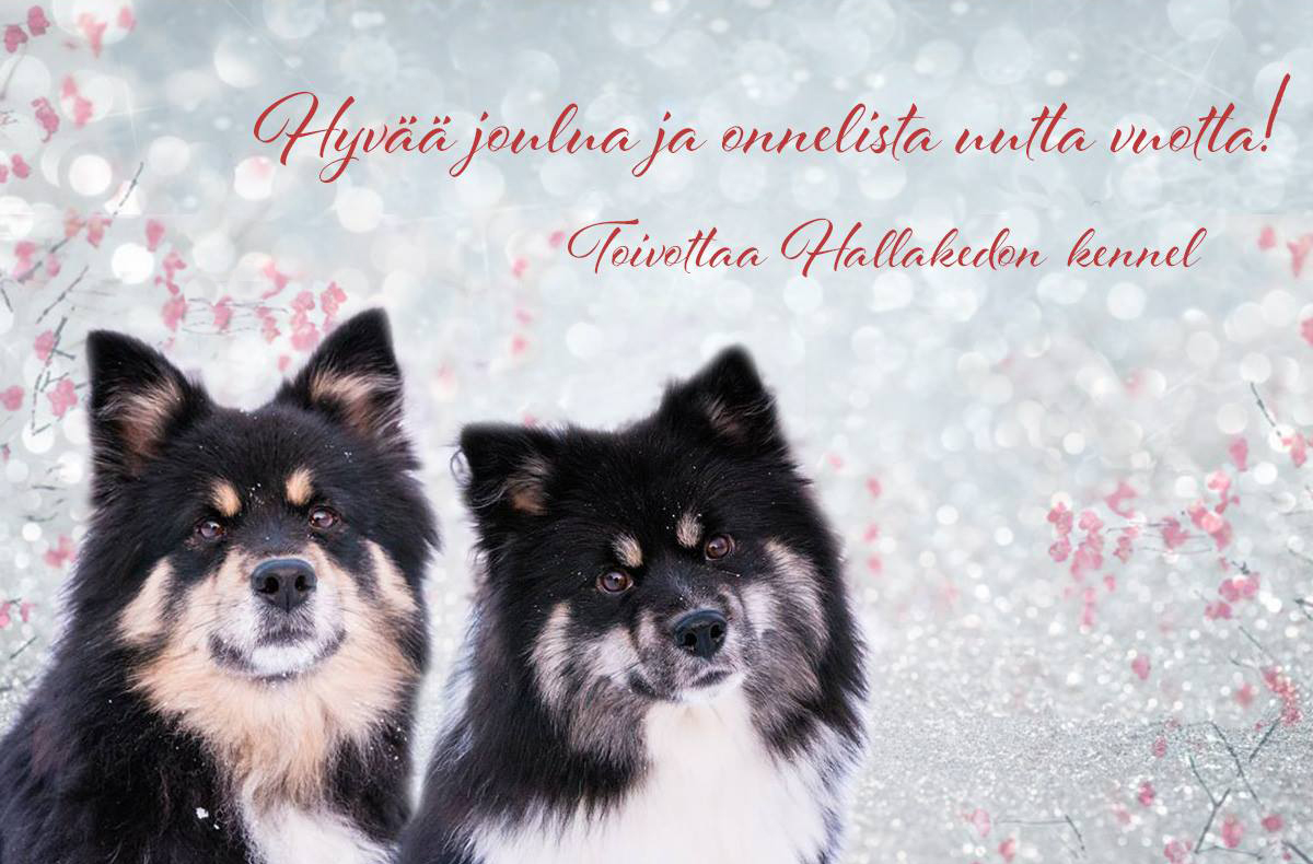 Xmascard